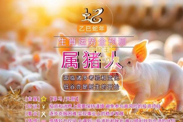 属猪每月运程预测及建议 属猪每月运程预测及建议