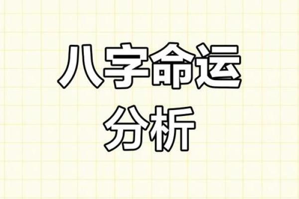 博雅互动的生辰八字揭秘：如何通过八字分析掌握成功秘诀？
