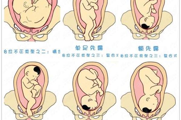 出生的人生命运如何 出生的人生命运如何