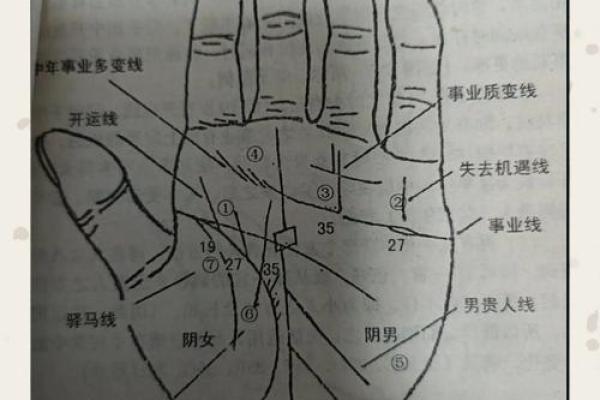 从手掌看女人是否注定富贵 从手掌看女人是否注定富贵