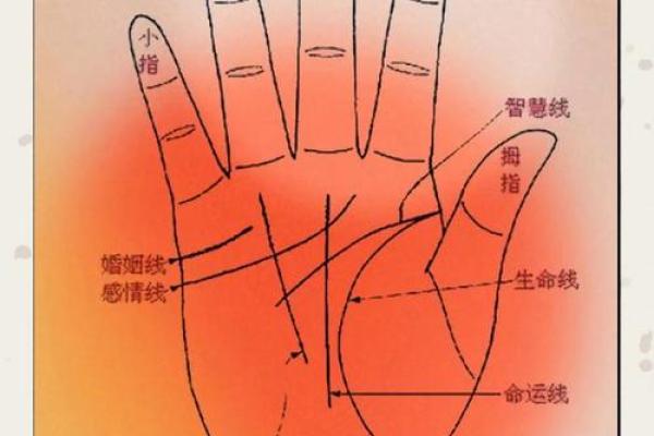 从手掌看女人是否注定富贵 从手掌看女人是否注定富贵