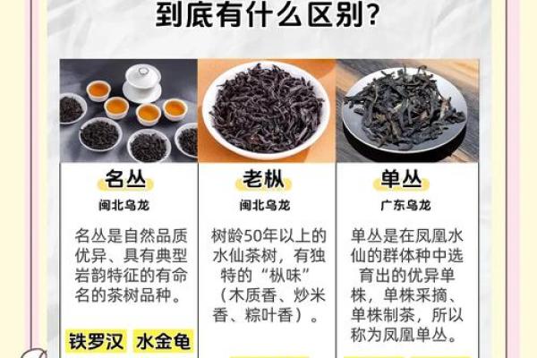 丛的五行属性解析:如何影响我们的日常生活与运势 丛的五行属性解析:如何影响我们的日常生活与运势