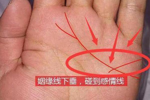 解析男命双桃花与情感稳定性的关系 解析男命双桃花与情感稳定性的关系