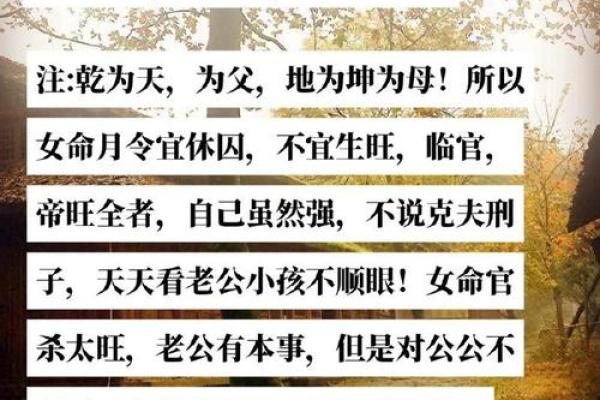 从生辰八字看命运的分量，你的命运由什么主宰？