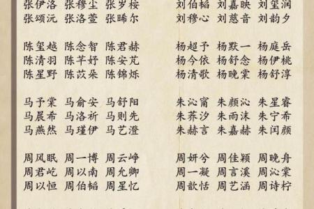 宝宝起名字大师推荐：选择合适的命名专家