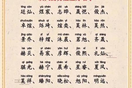 Zi五行属火，你知道这意味着什么吗？