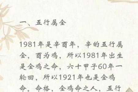 探秘八字运程：不同生肖在命理中的运势影响