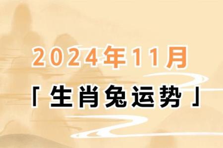 年属兔每月运程详解
