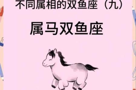 属马人每月运势变化详解