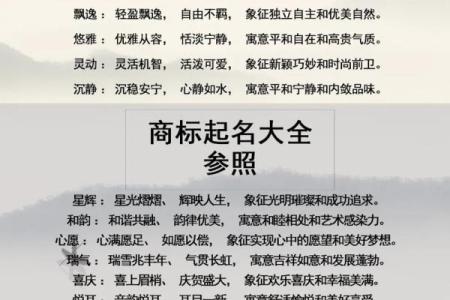 创业公司起名要趁早，如何为品牌选择一个响亮的名字