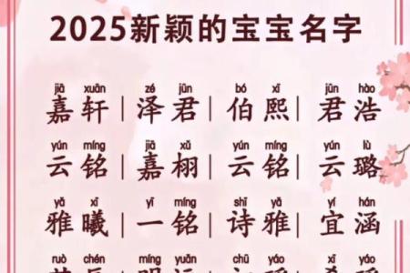 宝宝起名趋势与文化含义