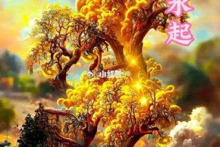 打造招财风水布局助你事业腾飞