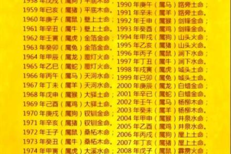 宝宝生辰八字揭秘：如何通过八字预测孩子未来命运？