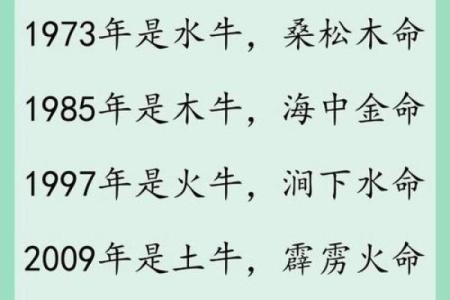 从生辰八字看命运的分量，你的命运由什么主宰？