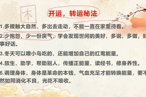 崔官篇风水揭秘：如何运用风水提升家居运势