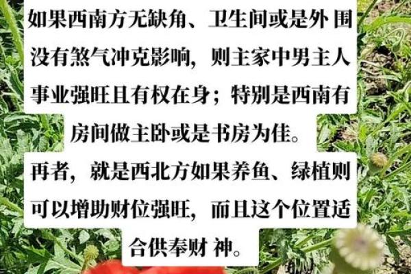 打造财运旺盛的家居风水布局方法