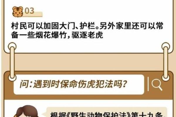 如何应对虎人运程中的挑战与机遇 如何应对虎人运程中的挑战与机遇