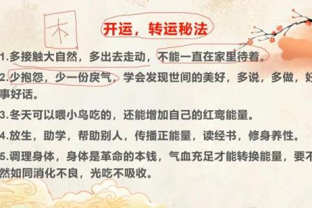 崔官篇风水揭秘：如何运用风水提升家居运势