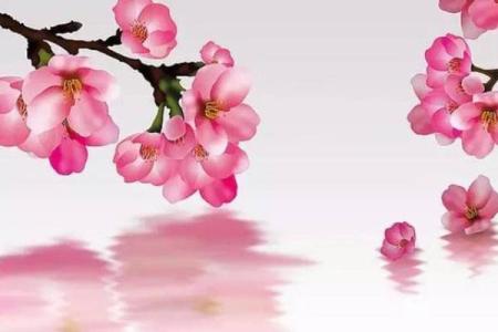 男命双桃花，如何应对多重感情的挑战
