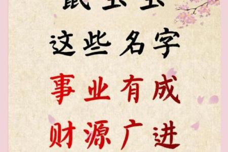 为鼠宝宝女儿取个合适的名字：寓意与音韵的完美搭配