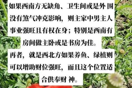 打造财运旺盛的家居风水布局方法
