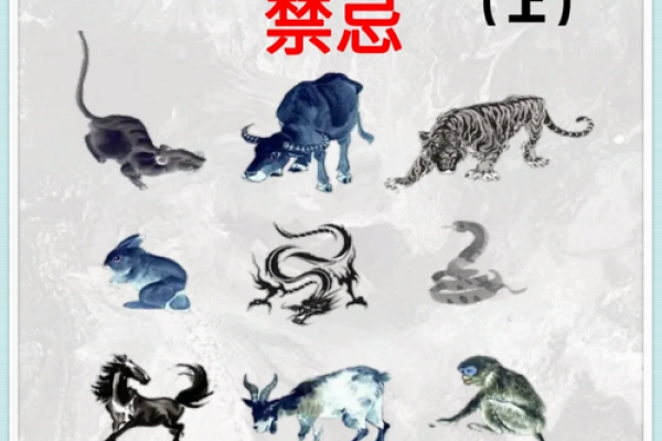 宝宝命名指南：从生肖、五行到音韵搭配的全方位考虑