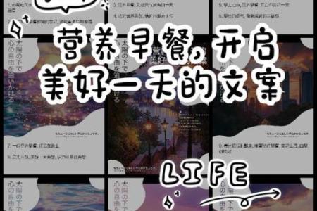创意十足的早餐名字大全，带你开启美好一天