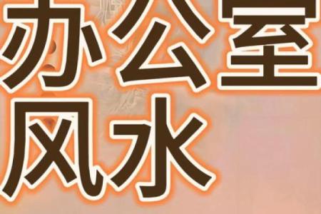 办公室盆栽风水布局助力职场运势提升