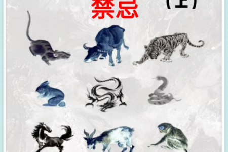 宝宝命名指南：从生肖、五行到音韵搭配的全方位考虑