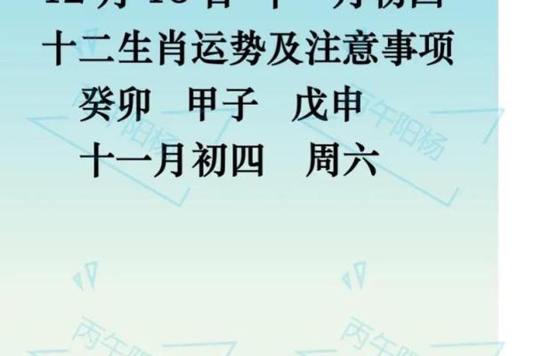 生肖运势全分析:每个属相的幸运与注意事项 生肖运势全分析:每个属相的幸运与注意事项