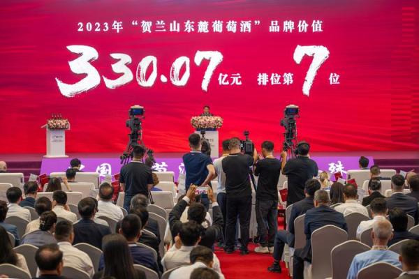 创新红酒命名方案公司提升品牌价值 创新红酒命名方案公司提升品牌价值