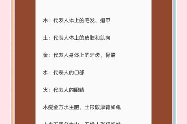 吃字五行揭秘:如何根据五行调节饮食,让健康加分 吃字五行揭秘:如何根据五行调节饮食,让健康加分
