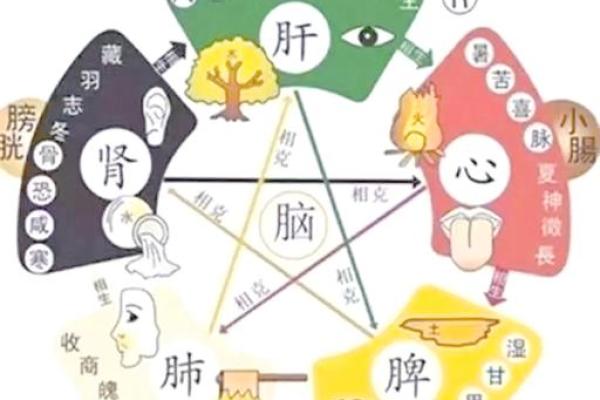初一五行分析:如何根据五行掌握运势变化 初一五行分析:如何根据五行掌握运势变化