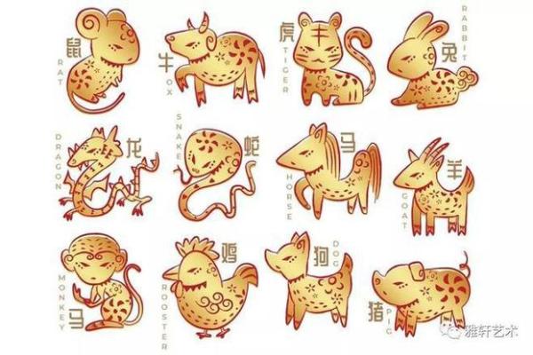 出生的孩子命运如何?探讨生肖与五行的影响 出生的孩子命运如何?探讨生肖与五行的影响