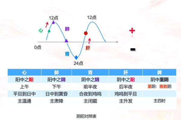 从五行角度看阴木命需避免的生活习惯 从五行角度看阴木命需避免的生活习惯