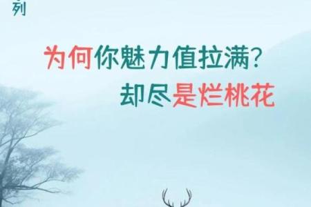 男命双桃花，情感生活的波动如何影响未来
