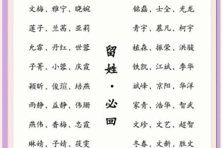 宝宝名字的选择与文化传承