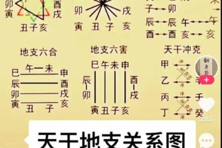 宝宝五行查询指南：如何快速了解宝宝五行属性与命运走势