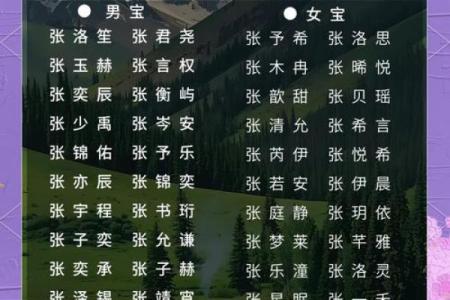 宝宝名字推荐：吴黄，蕴含幸运与智慧的选择