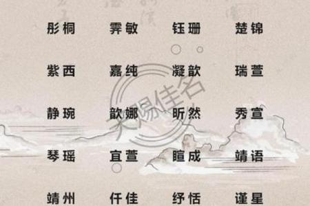 温馨又有寓意的鼠宝宝名字大全
