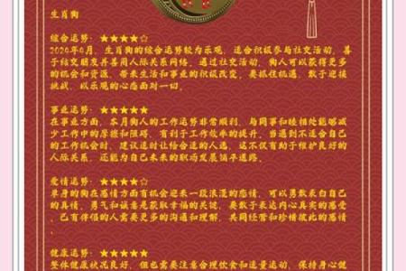 生肖运势全分析：每个属相的幸运与注意事项