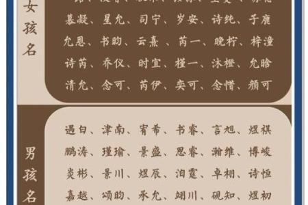 宝宝起名指南：最受青睐名字排名分析