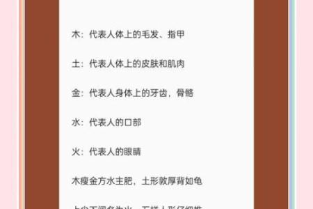 吃字五行揭秘：如何根据五行调节饮食，让健康加分