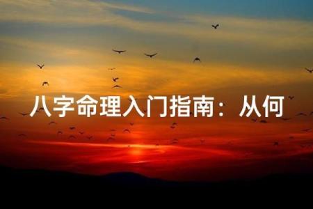 从命理学看人生：命理是什么以及它如何影响我们