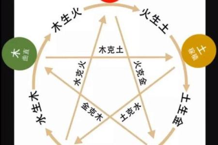 初一五行分析：如何根据五行掌握运势变化