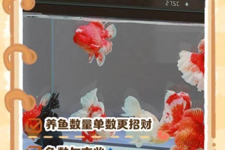 保山家居风水鱼缸定制，助力家庭和谐与财运亨通
