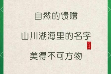 成熟名字的象征意义及其对人生的影响
