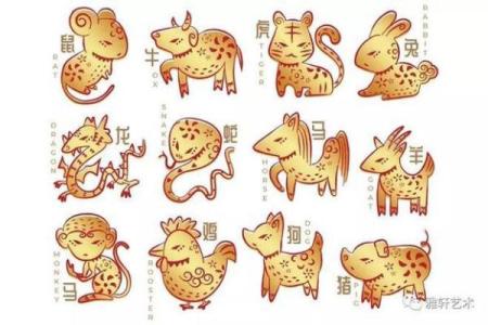 出生的孩子命运如何？探讨生肖与五行的影响