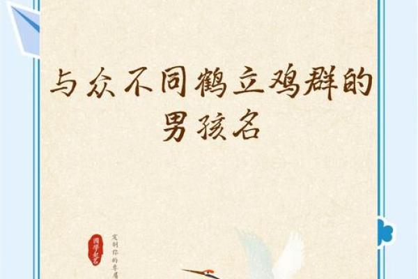如何为鸡宝宝挑选一个合适的名字 如何为鸡宝宝挑选一个合适的名字