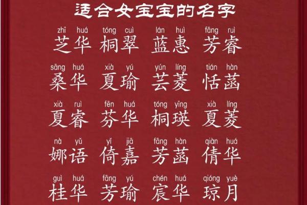 如何为鸡宝宝挑选一个合适的名字 如何为鸡宝宝挑选一个合适的名字